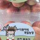 영천다원 이미지