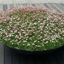 김승훈 카카오 검색결과