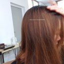 민오렌지헤어 이미지