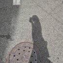 (주)지피코 | [근황]잠수에서~ 누가 돌아왔게~