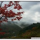 미산힐링 이미지