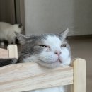 (주)닥터크리닝 이미지