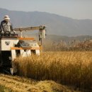 초이하우스 이미지