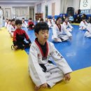 용인대 한뫼 태권도장 이미지