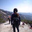 봉화산 Daum카페