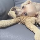 경동코아 이미지