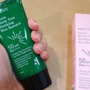 Sun Tree(썬 트리) 이미지