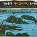 자라섬째즈길 티스토리