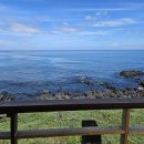 제주청개구리부동산중개 이미지