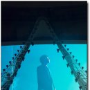 마스크 써도 국보급 고소영 장동건 부부, 박효신 콘서트 현장 포착