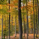 강서둘레길(개화산,치현산,한강코스) 이미지