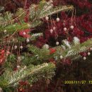 신지주유소 이미지