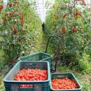 은옥농장 이미지