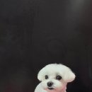 루이스독 이미지