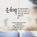 홀리씨즈교회 이미지