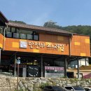 단양패러글라이딩 | 단양 여행 2일차 단양 패러글라이딩 후기, 만천하 모노레일