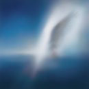 카더가든 카카오 검색결과