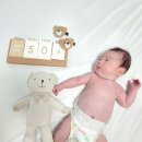 이른둥이 아기 50일 셀프촬영 후기 (무과금 2컨셉)