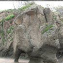 서경민박 | [스크랩] 굴업도 트레킹 후기