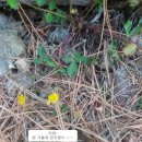 석불산 | 부안 석불산