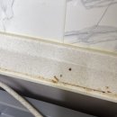 광택하우스 | 일산 싱크대 대리석 연마광택 얼룩제거 전후 후기