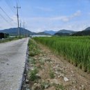 운천4리 이미지