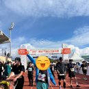 월정체육관 | 2025 제주감귤국제마라톤대회 참가 후기