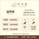 마이미미 반려견미용실 | 대구 애견샵 추천, '미미멍' ㅣ 미용·목욕·스파·호텔 한 번에 해결!!