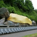 지혜의 나무 이미지