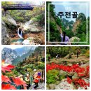 10월18일(토)설악산+흘림골(단풍산행)좌석방안내 이미지