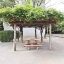 롯데부동산중개 이미지