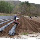 단양군 농기계임대사업소 북부지소 | 단양군, 영농지원 종합서비스, 농가호응 ‘엄지척’ &#39;엔케이엔뉴스&#39;