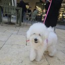 이뻐지개 이미지