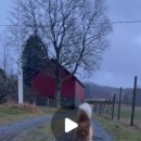 Happy tail 이미지