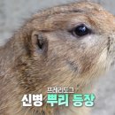 기봉이 농장 이미지