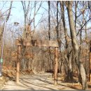 삼성산터널길 이미지