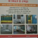 마그마숲 이미지
