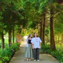 서해가든 민박 | 2025 태안 여름휴가 (몽산포 해수욕장 갯벌체험 ㅎ-ㅎ)