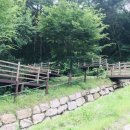 팔공산금화자연휴양림 이미지