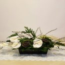 교동꽃화원 이미지