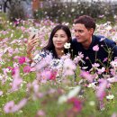 코스모스메디칼 이미지