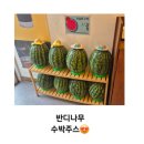 천안 청당동 카페 여름엔 역시 반디나무 수박주스! 천안 과일주스 맛집 후기