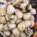 부일상회 이미지