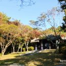 임천약국