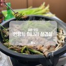 안항사미나리