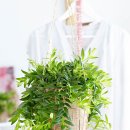 무진가든 이미지