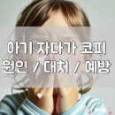 다가코가 이미지
