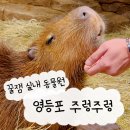 우림할인매장 | 서울 아이와 실내동물원 영등포 주렁주렁 할인 유모차 주차 꿀팁