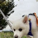 푸른종합동물병원 이미지