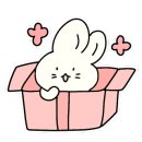 펫살롱 노아 이미지